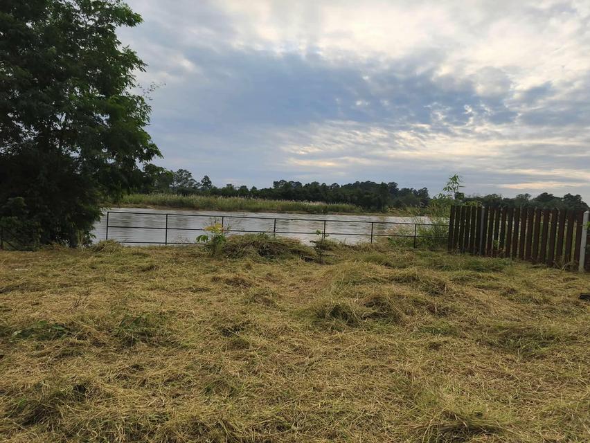 ขายที่ดินติดริมน้ำปิงกำแพงเพชร 4