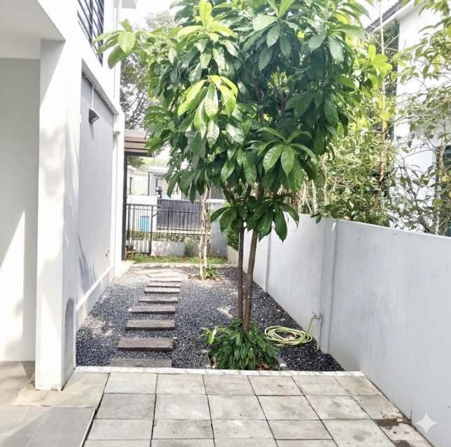 ขายบ้าน ** ด่วน **ถูกที่สุด ๆๆ ราคา 3.65 ล้าน พร้อมเข้าอยู่ได้ทันที *-โครงการ ดีไลท์ รัตนาธิเบศร์-ท่าอิฐ **ถูกที่สุด** 14