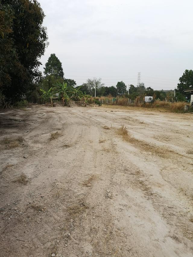 ที่ดินในจังหวัดระยอง 3