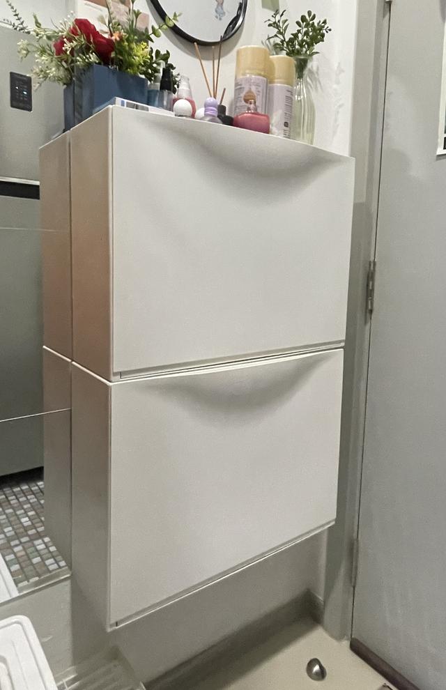 ตู้อเนกประสงค์ทรูนเนสอีเกียEkia