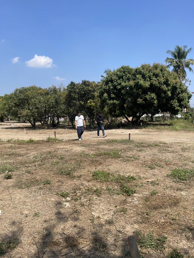 ที่ดิน จัดสรรเชียงใหม่ 1