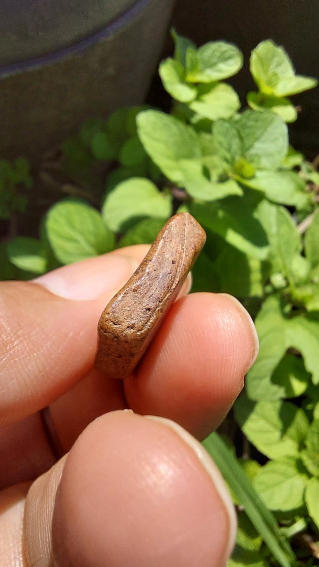 พระซุ้มกอ เนื้อดิน แร่ดอกมะขามสวยๆ รูปที่ 7