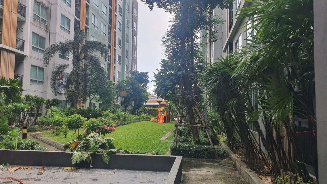 ให้เช่าV-Condo ถนนฉลองกรุงเจ้าคุณทหาร ถนนลาดกระบัง แขวงลำปลาทิว เขตลาดกระบัง กรุงเทพฯ 16