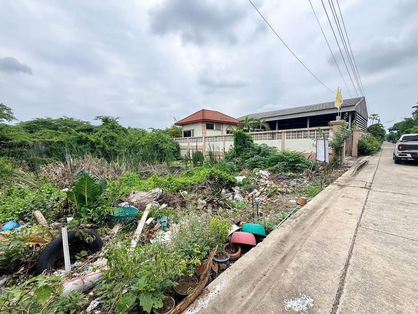 ขายด่วนที่ดินตลาดใหญ่ลำลูกกา 100 ตรว ติดถนนคอนกรีต ซ.เทศบาล 17 ลำลูกกา ปทุมธานี 8