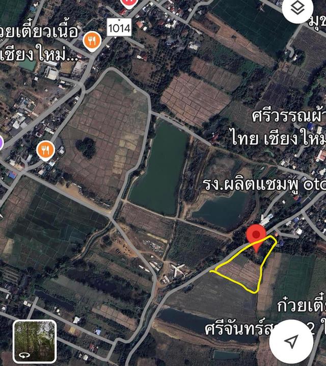 ขายที่ดิน 5 ไร่ดอยสะเก็ด 4.8 ล 2