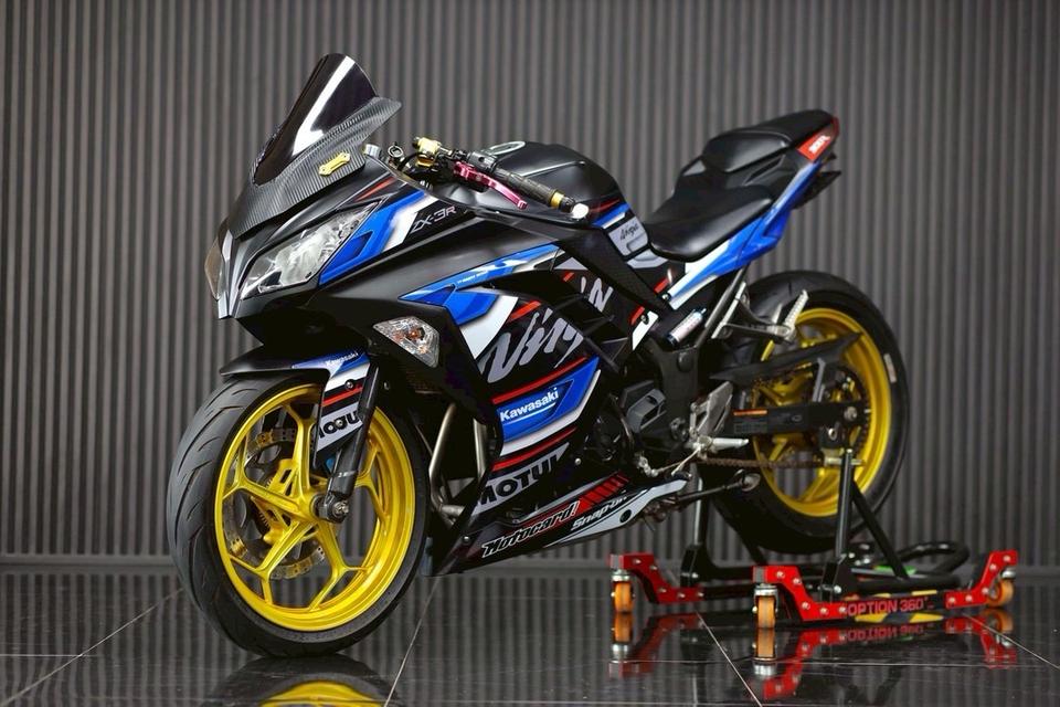 Ninja300 4