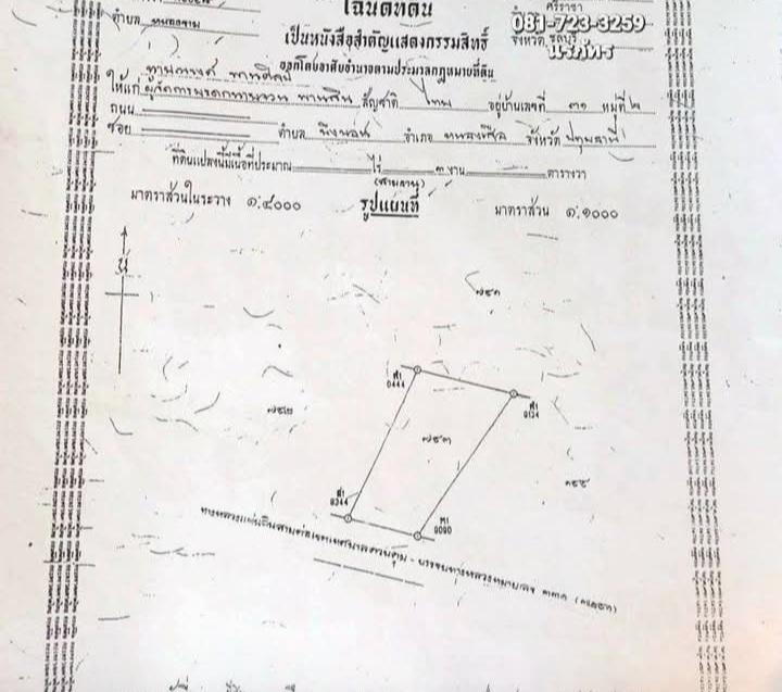 ที่ดิน 300 ตร.วา อ.ศรีราชา จ ชลบุรี 8