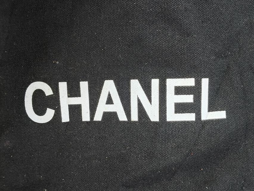 Chanel Tank Bag 9