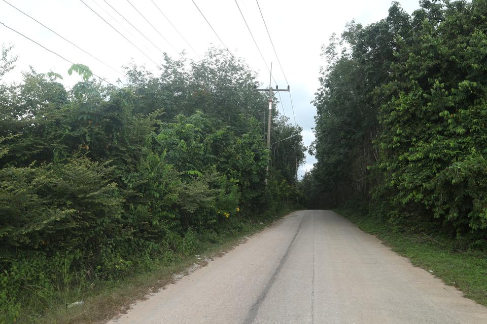ขายที่ดิน 10 ไร่เศษ ต.บ้านพรุ อ.หาดใหญ่ จ.สงขลา 6