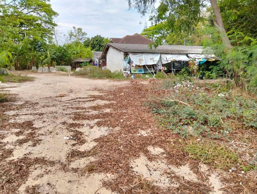 ที่ดิน 2 ไร่ 3 งาน ตัวเมืองระยอง ใกล้นิคม IRPC 3