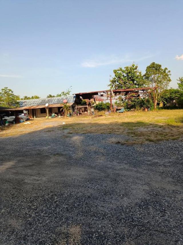 ขายที่ดิน แหลมฉบัง ทำเลดี การเดินทางสะดวกสบาย สาธารณูปโภคครบครัน 6