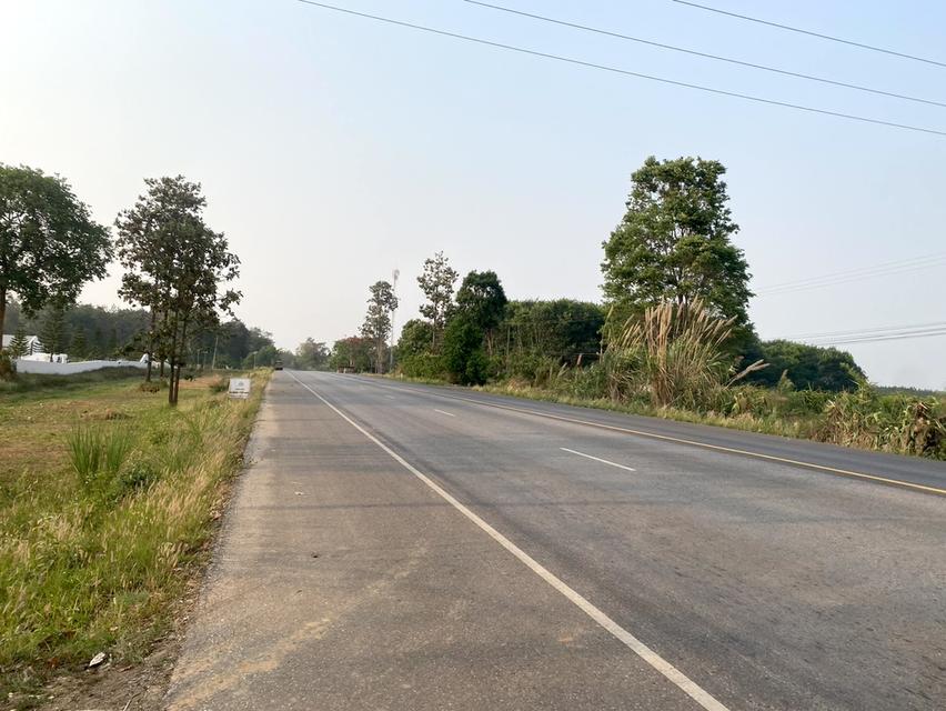 ขายที่ดิน 37 ไร่ ติดทางหลวงสาย เลย เพชรบูรณ์ 5
