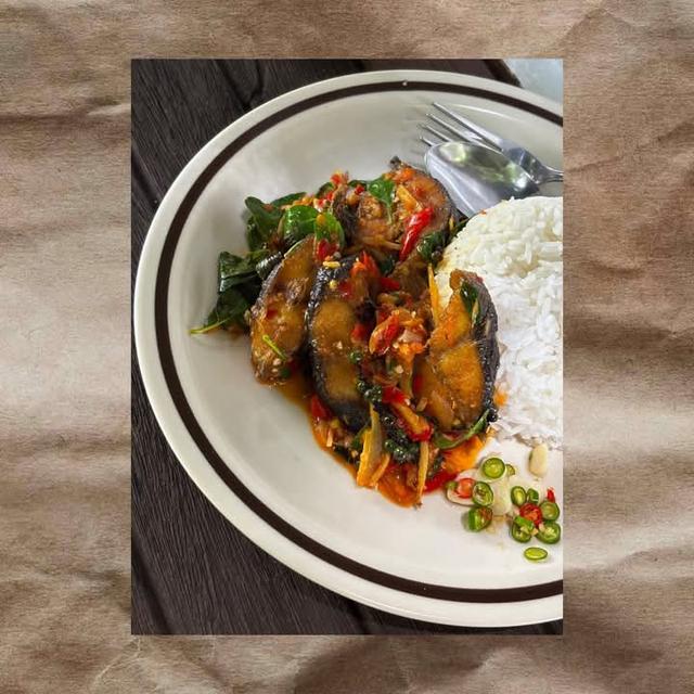 ภาพถ่ายจริงจากสถานที่จริง ร้านกาแฟ มาตา โคกตูม ลพบุรี รูปที่ 12