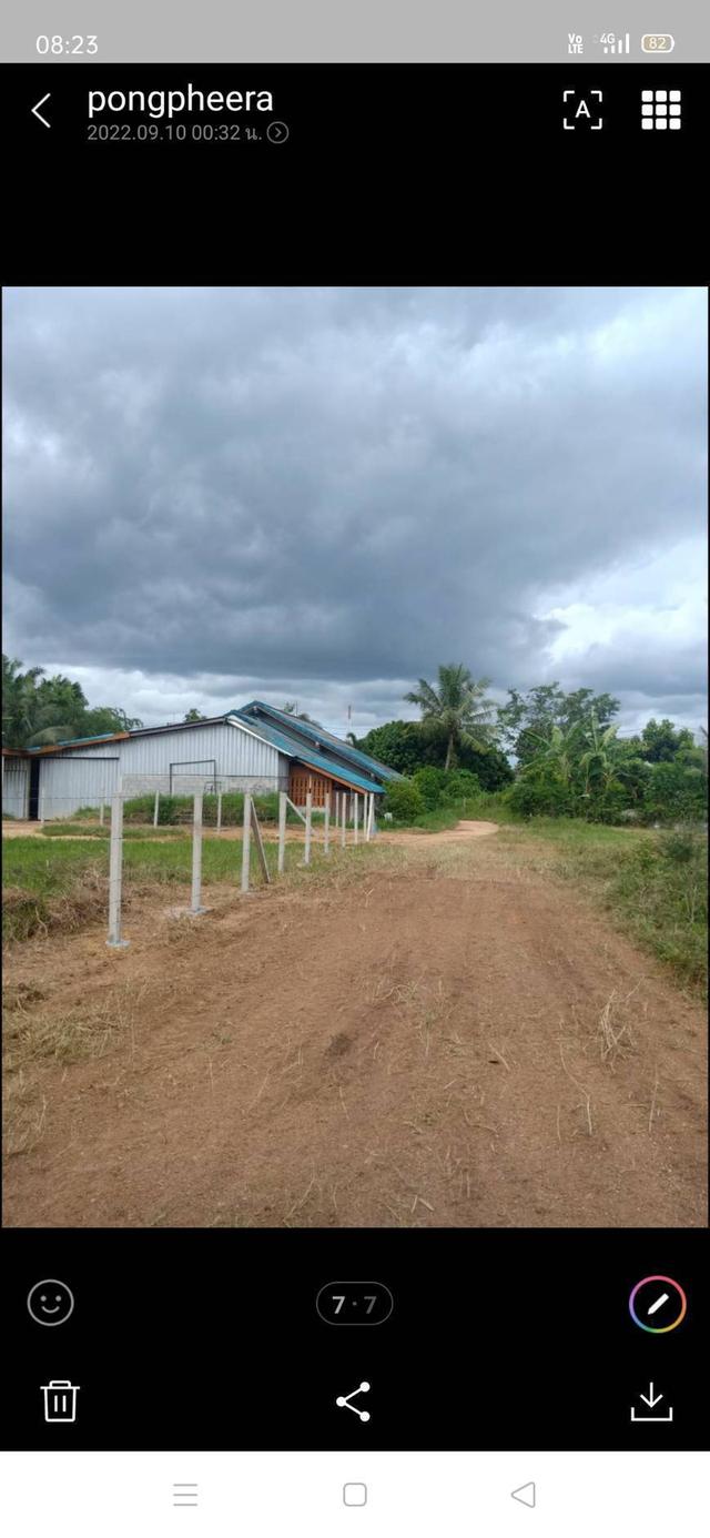 ขายที่ดิน 3 แปลงติดกัน เนื้อที่ 8 ห้อง ที่อยู่ ต.กำแพงเพชร อ.รัตภูมิ จ.สงขลา ราคา ยกแปลง 1.3 ล้านบาท 9