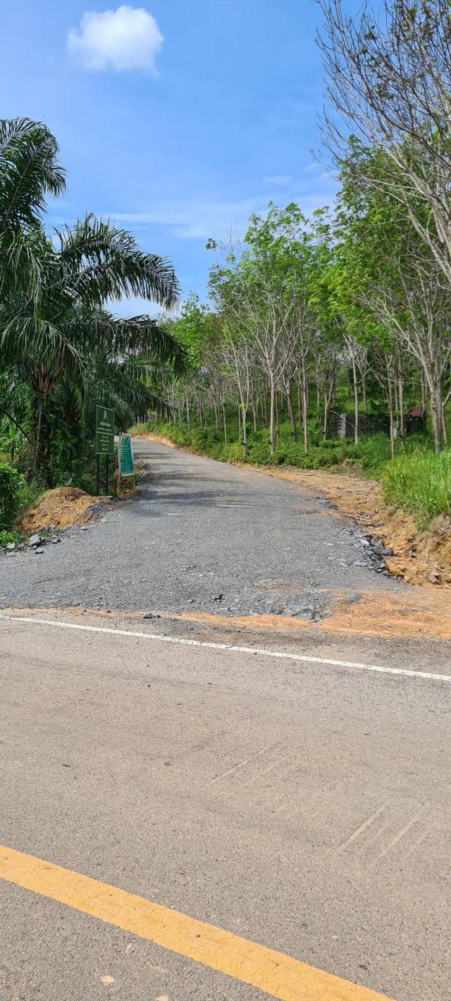 ขายที่ดิน ที่ดินแบ่งขายได้ ขายที่ดินใกล้เสม็ดนางชี จ.พังงา วิวอ่าวพังงาแบบ 360 องศา วิวสวยมากๆ อยู่ ต.คลองเคียน อ.ตะกั่วทุ่ง จ.พังงา  6