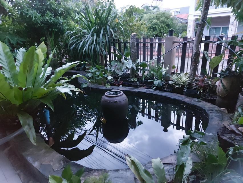 บ้านเดี่ยว 2 ชั้น 5 ห้องนอน 4 ห้องน้ำ ห้องครัว ห้องรับแขก  ระเบียงดาดฟ้า บ่อปลาคราฟ ปั้มน้ำ ถ้งเก็บน้ำ ซักล้าง สวน แอร์ 5 ตัว มุ้งลวดพร้อมม่าน 6