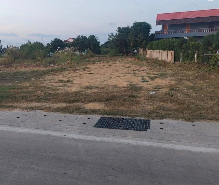 ขายที่ดินพัทยา ห้วยใหญ่ 121 ตรว.ถมแล้วเทศบาล1ซอย12 ใกล้หาดบ้านอำเภอ7กม. อ.บางละมุง ชลบุรี 6