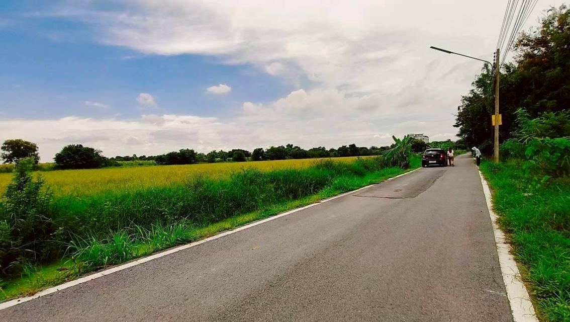 Vายถูก ที่ดินคลองหก 1 ไร่ ติดถนนลาดยางสาธารณะ ซอย คลองหกตะวันออก 86 อ.คลองหลวง จ.ปทุมธานี 6