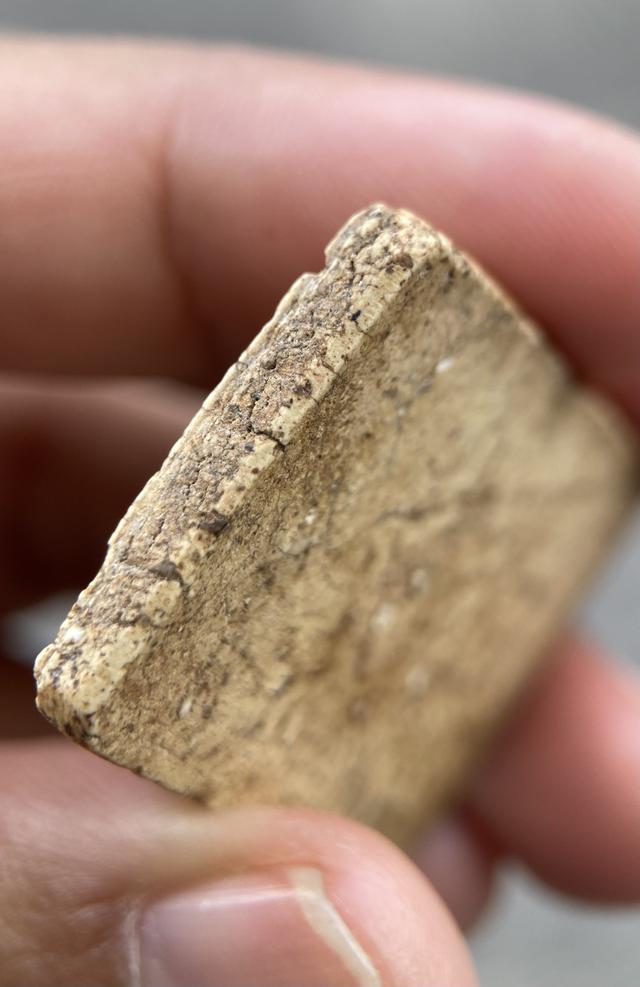  พระสมเด็จบางขุนพรหมพิมพ์เส้นด้าย  สภาพสมบูรณ์ 10