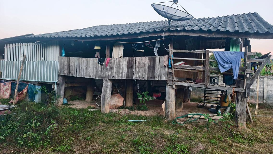 ที่ดินพร้อมสิ่งปลูกสร้าง 1