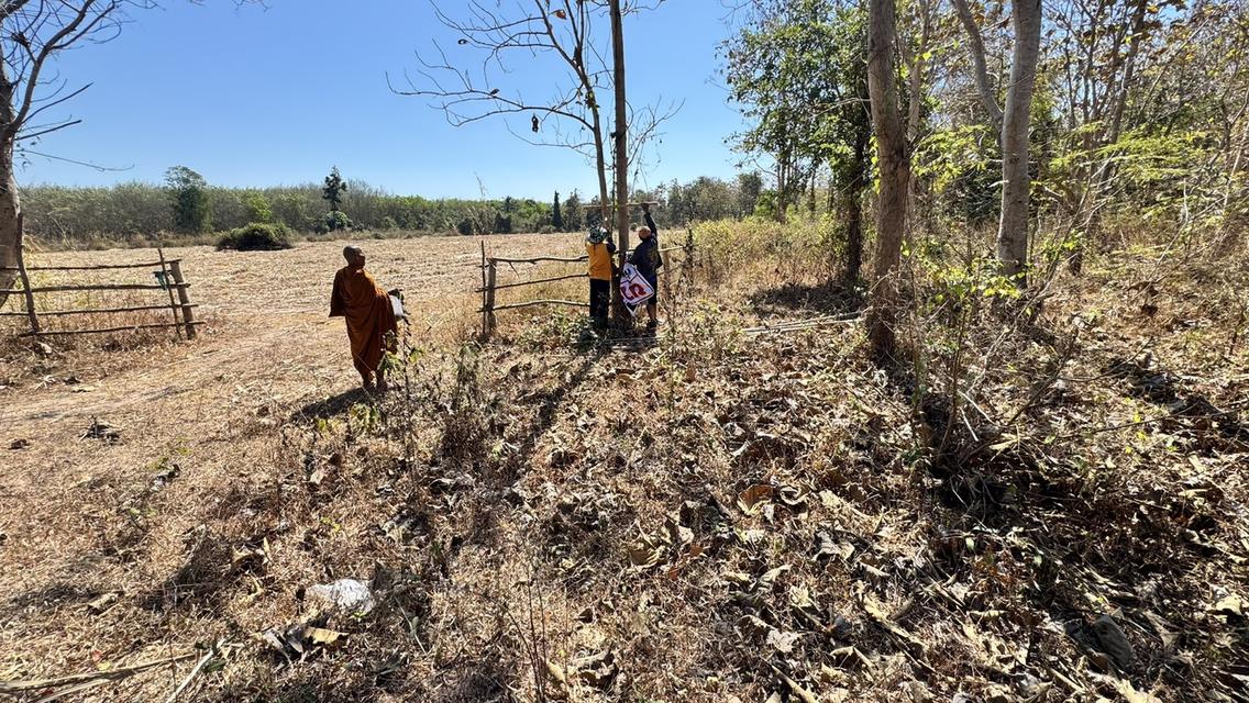 ขายที่ดิน อำเภอ พรรณา 2