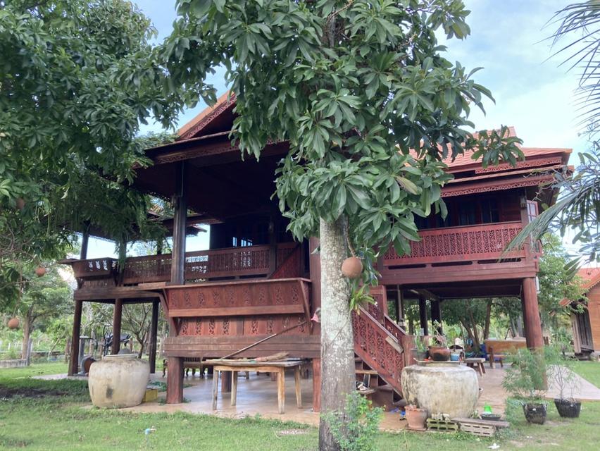 ขายบ้านเรือนไทยพร้อมที่ดิน เนื้อที่ 25 ไร่ 2งาน 51.4ตารางวา ตำบลทับสะแก อ.ทับสะแก จ.ประจวบคีรีขันธ์ 6