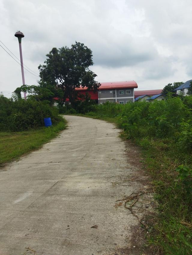 ที่ดินเปล่าติดถนนคอนกรีต