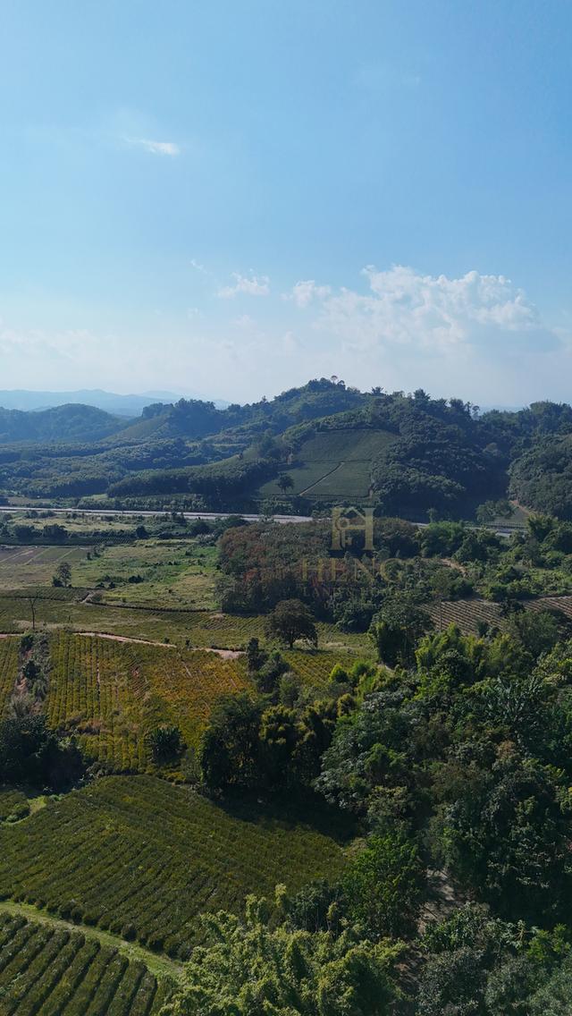 ที่ดินวิวภูเขา 88 ไร่ ติดถนนใหญ่ ทำเลอนาคตไกล แม่จัน  โอกาสพัฒนาได้หลายรูปแบบ!” 2