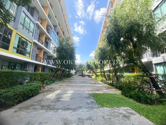 I CONDO Sukhumvit 103 (ไอ คอนโด สุขุมวิท 103) 14