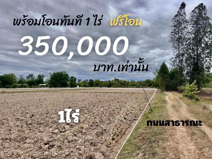 ที่ดิน