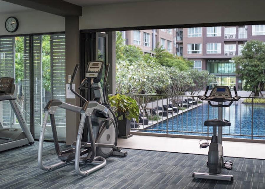 Dcondo campus Phuket 9