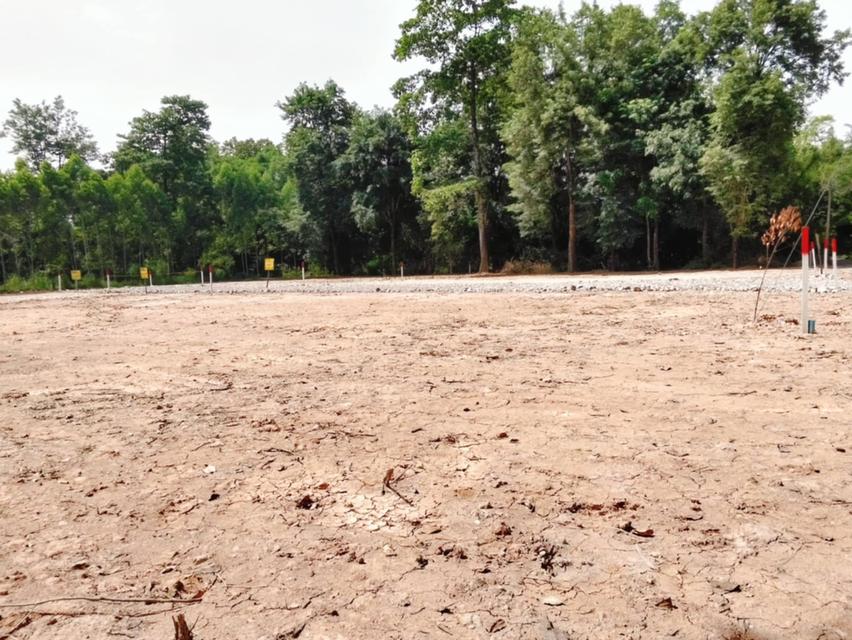 ที่ดินสระบุรี ราคาถูก 1