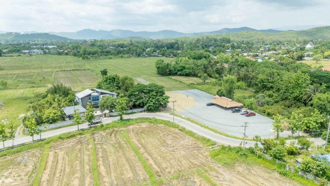 ขายที่ดิน ราคา3,980บาท/ตร.ว. ต.ป่าป้อง อ.ดอยสะเก็ด จ.เชียงใหม่ 9