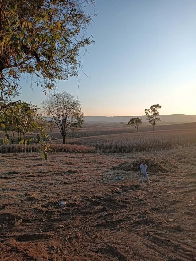 ที่ดินเปล่า ล้อมรั้วเรียบร้อย ถนน 3139 วังน้ำเขียว 11