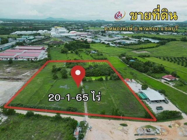 ขายที่ดินเปล่าผังสีเหลืองอ่อน แปลงสวย ที่ตั้ง : ต.หนองบอนแดง อ.บ้านบึง จ.ชลบุรี 4