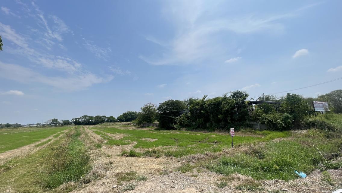 ขายที่ดิน หลังมหาวิทยาลัยราชภัฏพิบูลสงคราม ประตู 3 จังหวัดพิษณุโลก 6
