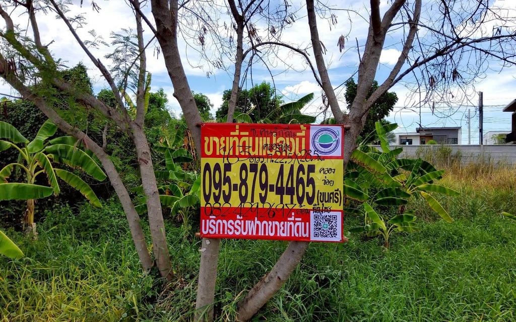 ขายถูกที่ดิน 163 ตรว ติดถนนคอนกรีต ซ.คนรักถิ่น ปากเกร็ด นนทบุรี 8