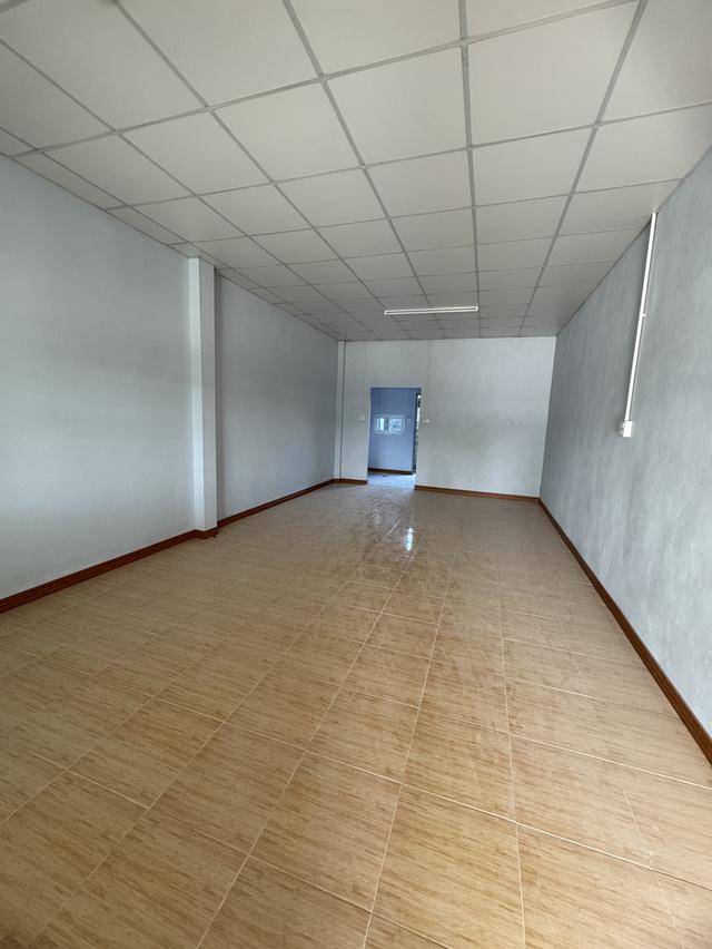 ห้องแถว บ้านเช่า อ.บางแพ จ.ราชบุรี 11