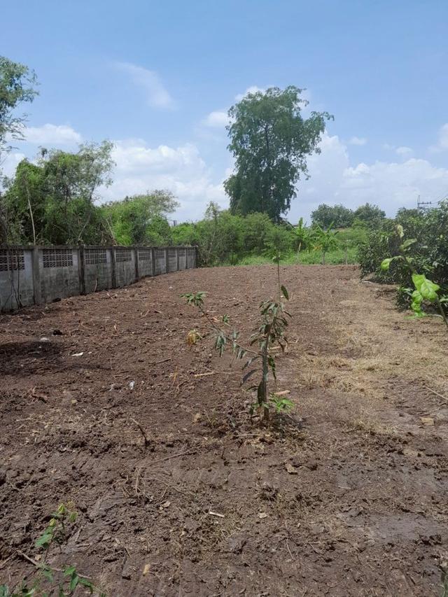 ขายที่ดินแปลงสวย 2 แปลง ถมแล้ว ขนาดเริ่มต้น 151 ตร.ว. ซอยวัดสลักเหนือ ปากเกร็ด ใกล้สถานีรถไฟฟ้าอิมแพค เมืองทองธานี 2