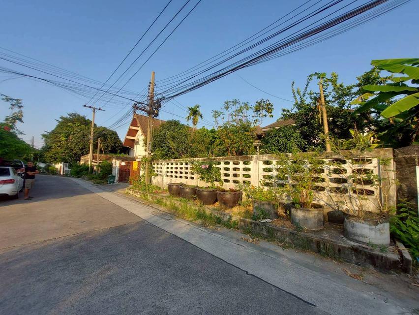 ขายที่ดินพร้อมบ้าน 2 ชั้น 2 หลัง ซอยงามวงศ์วาน 19 2