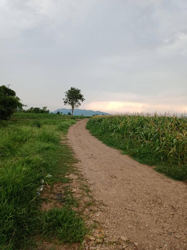 Land for sale in Thailand.1032rai of land 7