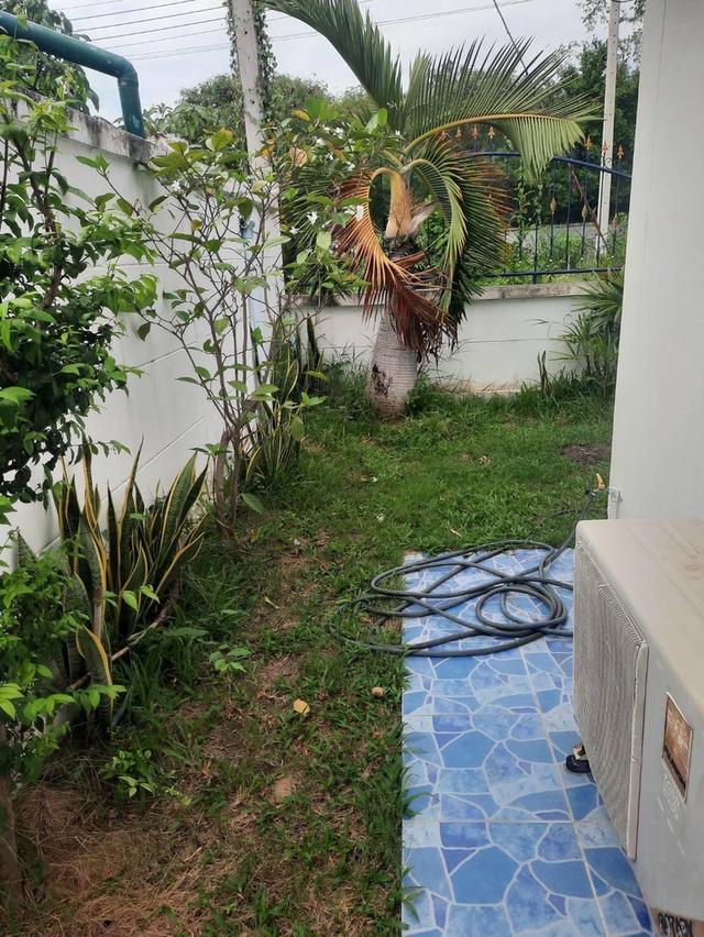 บ้านเดี่ยว 19