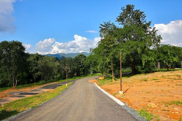 ขายที่ดิน พร้อมอาคาร วิวทะเลหมอก ทำเลศักยภาพ ดอยสะเก็ด – เชียงใหม่ บนเนื้อที่ 5 ไร่กว่า โทร 087-8783536 16
