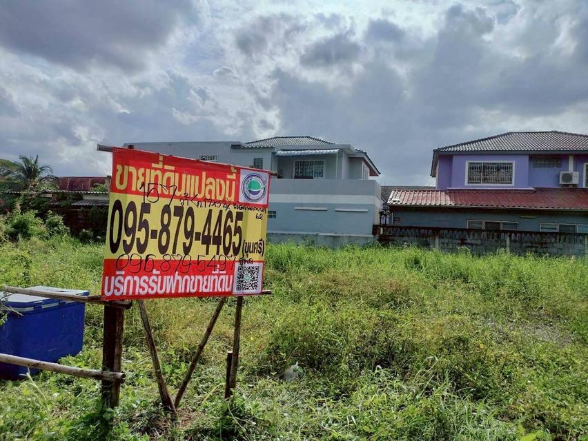 Vายที่ดินทำเลดี 157 ตารางวา ติดถนนคอนกรีต ซอย รังสิต-นครนายก 62 อ.ธัญบุรี จ.ปทุมธานี 3