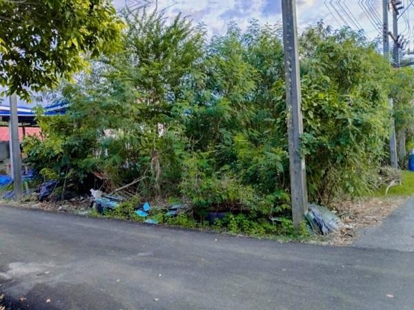 ขายที่ดินเปล่าเคหะคลอง 8 ติดสนาม ลานออกกำลังกาย ถมแล้ว น้ำ-ไฟฟ้าหน้าแปลง โทร 095-1653654 4