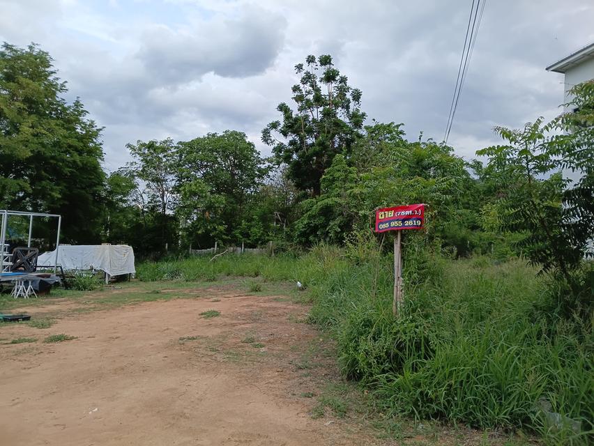 ที่ดินเปล่า หัวหิน อยู่บนเนิน มองเห็นวินทะเล 5