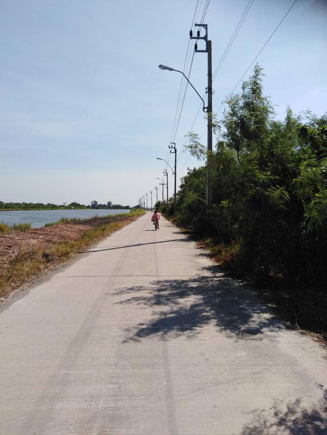 ขายที่ดิน 4-2-50ไร่ 3