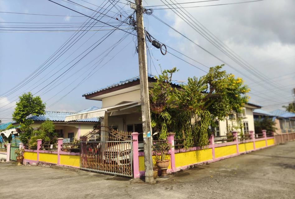 ขายบ้านเดี่ยว 52 ตรว. 3