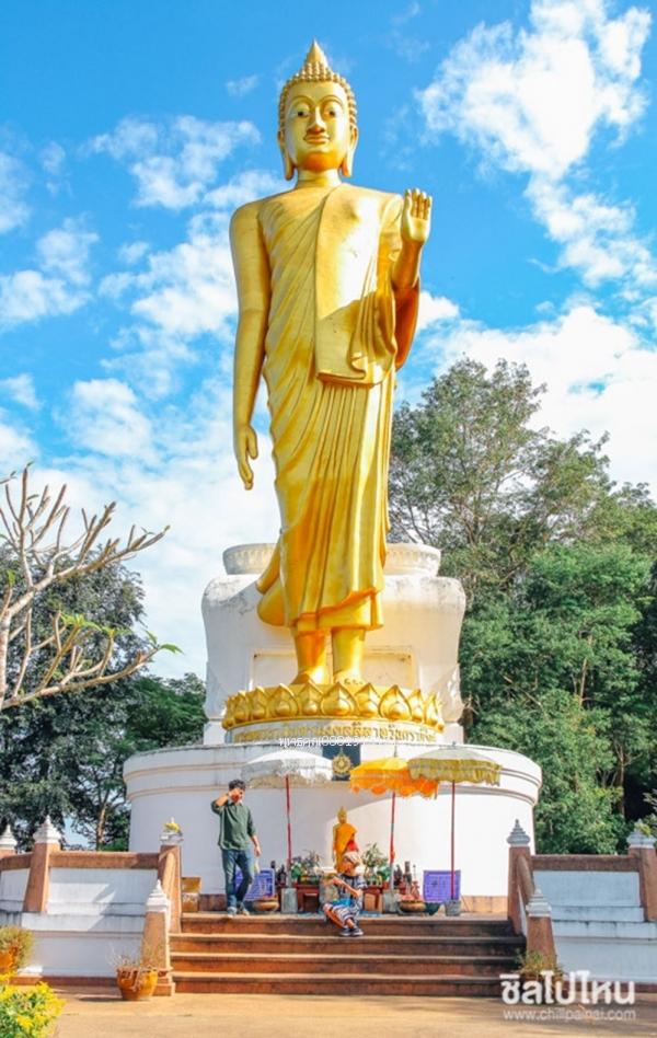 เหรียญพระพุทธนวมินทรมงคลลีลาทวินคราภิรักษ์ พระพุทธรูปปางลีลาประทานพร หลัง ภปร. ปี2542 4