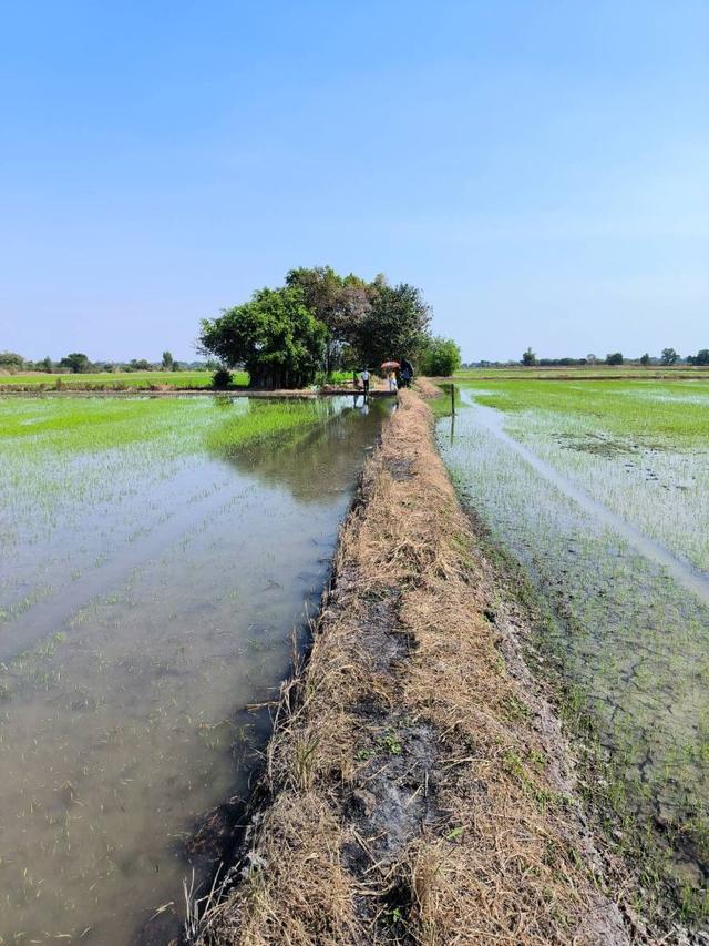 ขายที่ดินเปล่า ทำเลดีติดถนน ตำบลคลองสาม อำเภอคลองหลวง จังหวัดปทุมธานี